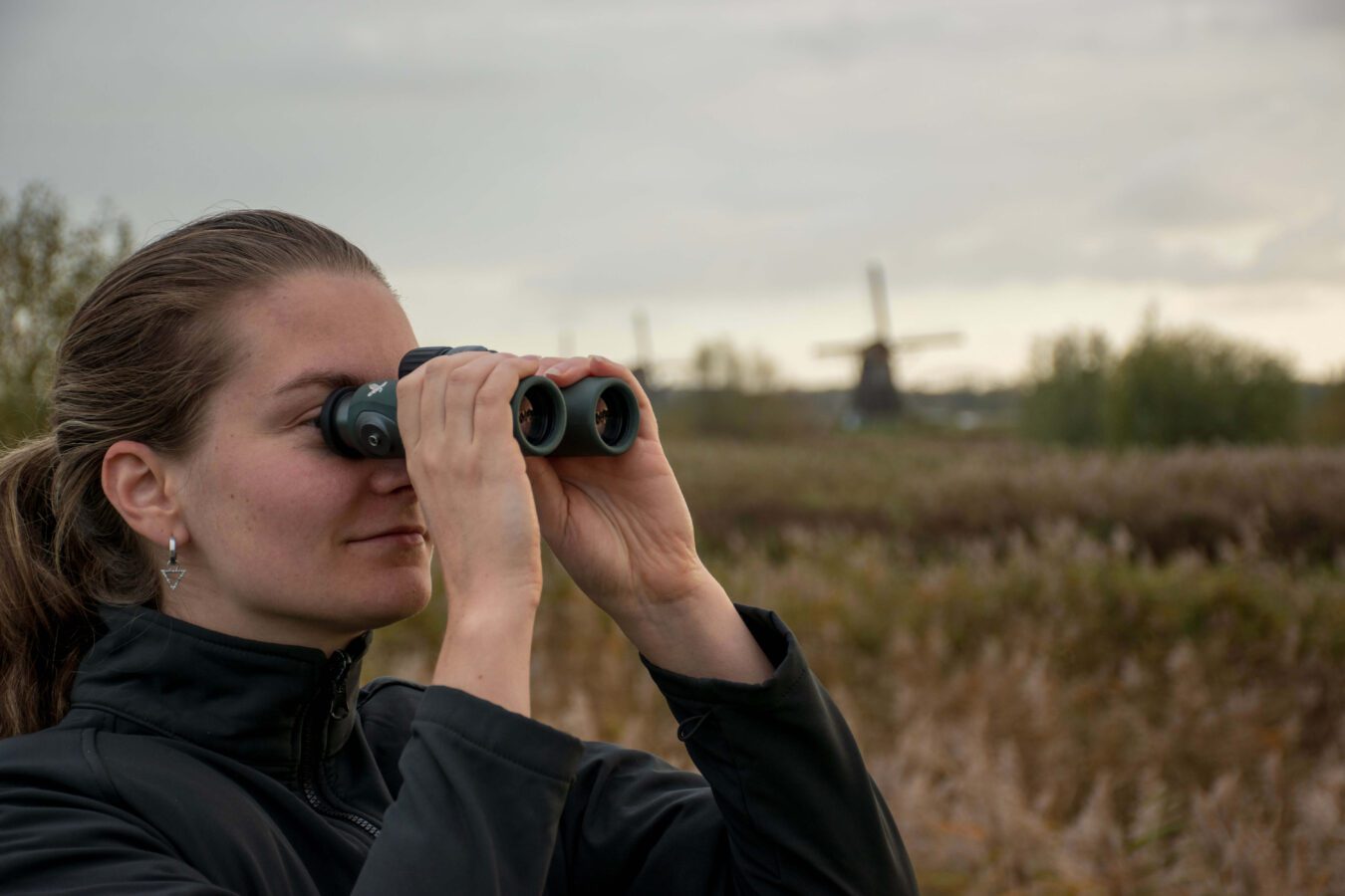 Natuur in Kinderdijk